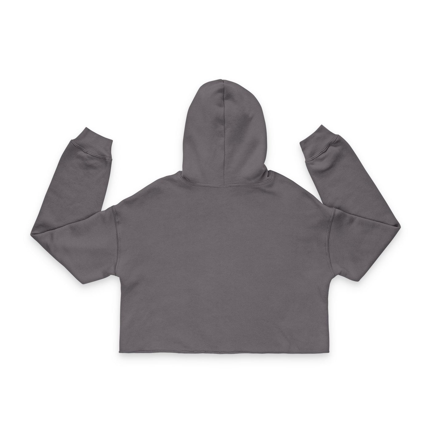Yuppie Life™ Dolphin Cropped Hoodie